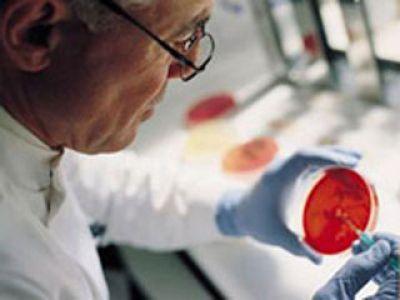 Использование стволовых клеток