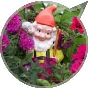 Аватар пользователя Babochka Аватар пользователя Babochka