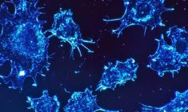 Раковые клетки