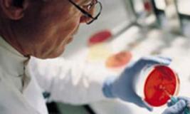 Использование стволовых клеток